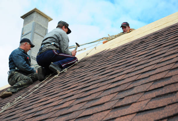 Best Roof Maintenance Services  in Bull Run, VA